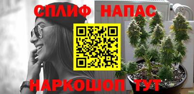 хмурый Нарткала