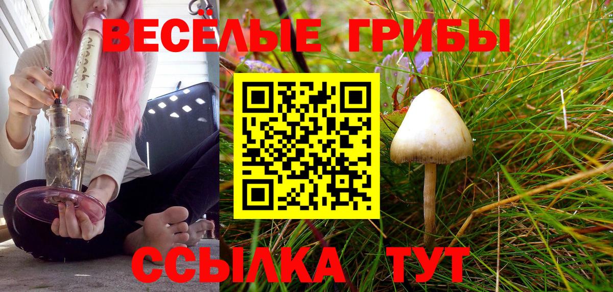 Чехов  Галлюциногенные грибы мухоморы  Вход с VPN 